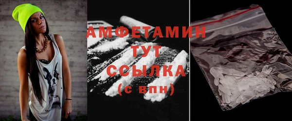 метадон Богданович