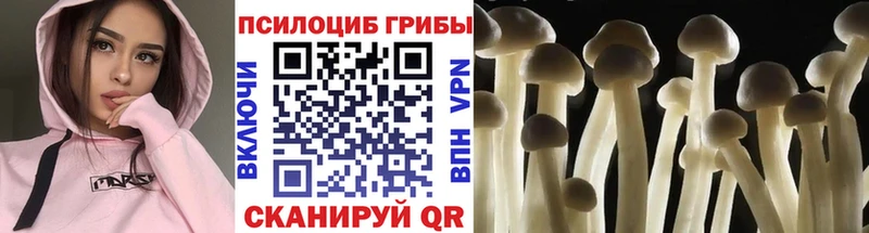 Псилоцибиновые грибы мухоморы  это телеграм  Котельники 